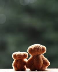 soft toy hd phone wallpaper peakpx