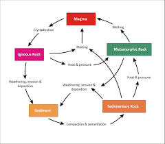 Rock Cycle Flow Chart Diagram Nationalphlebotomycollege