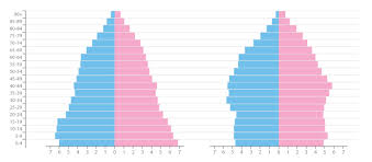Population Pyramid Learn About This Chart And Resources
