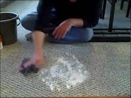 pet vomit out of carpet