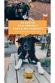 54 amazingly dog friendly restaurants