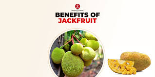 jackfruit and its nutrition facts