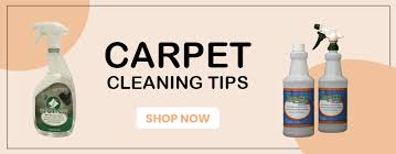 carpet stain remover carpet cleaning