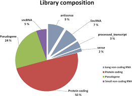 Library Composition Pie Chart Of The Distribution Of