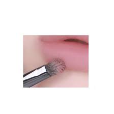 a chi blur tint lip brush set 2items