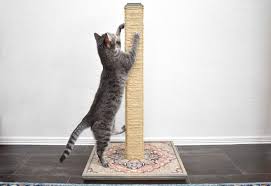 10 diy cat scratching post ideas to