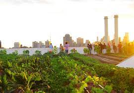 This Rooftop Farm Is Perfection Livunltd