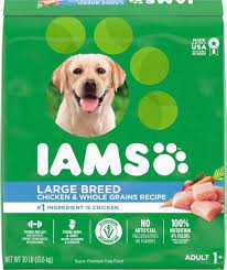 iams proactive health large breed