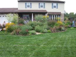 front yard makeover from lawn to