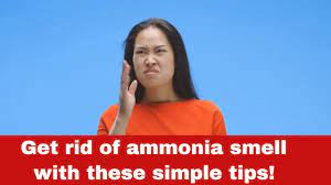 how to get rid of ammonia smell