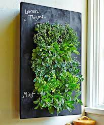 Living Wall Kitchen Herb Garden