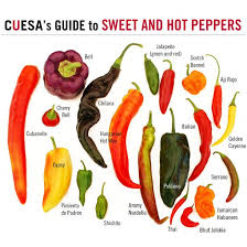 From Sweet To Heat A Farmers Market Guide To Peppers Cuesa