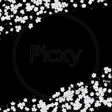 image of white flower background with