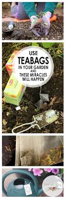 use teabags in your garden for these