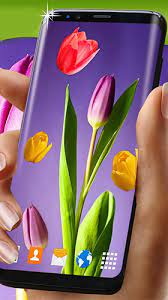 tulips by 3d hd moving live wallpapers