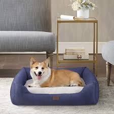 Maybe you would like to learn more about one of these? Buy Martha Stewart Orthopedic Dog Lounge Sofa Removable Cover All Around Protection Four Sided Bolster Comfie Pet Beds Online In Turkey B089m1qv56