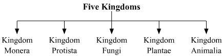 Draw A Flow Chart To Show The Five Kingdom Classiffication