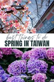 spring in taiwan 10 unmissable things