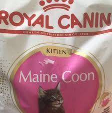 royal canin maine kitten cat food