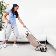abbey wood carpet cleaners 8 wilton