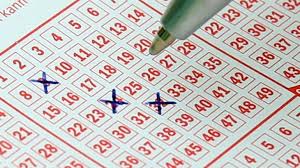 Kerala Lottery Results Announced First Prize Is Of Rs 80