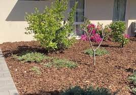 Improve Sandy Soil Perth Gardening Expert