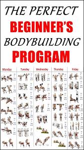 The Perfect Beginners Bodybuilding Program Beginner
