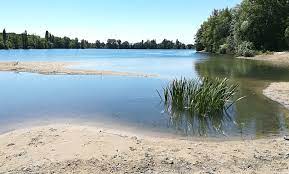 Binsfeldsee ? The perfect bathing lake for naturist sunbathing and cruising