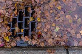 how to keep storm drains clear