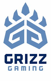 A personal idendity concept using one of my bear artwork from istockphoto. Memphis Grizzlies Logo Png Nba 2k League Team Logos Transparent Png Download 2293674 Vippng