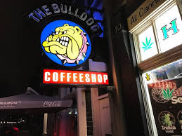 Inspired by his dog at that time, a bulldog named joris. Photo3 Jpg Picture Of The Bulldog Energy Coffeeshop Amsterdam Tripadvisor