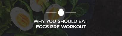 why you should eat eggs pre workout