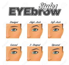 Make Up Information Chart Showing Various Eyebrow Shapes And