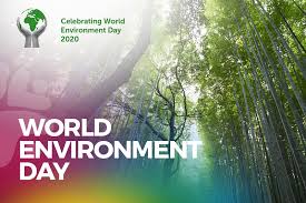 Free for commercial use no attribution required high quality images. World Environment Day United Through Sports