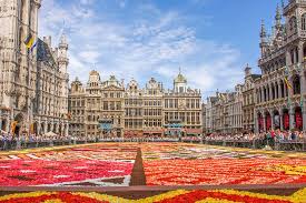 flower carpet of brussels 5 tips for