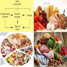Le funzioni che svolgono i p.n. La Classificazione E Le Funzioni Dei Principi Nutritivi Germoglioverde