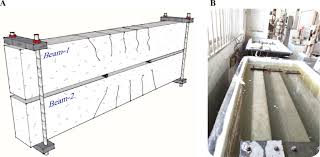 frp bars reinforced concrete beams