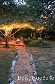 a canopy with globe string lights
