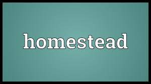 homestead meaning you