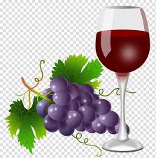 Wine Cooler Brandy Common Grape Vine