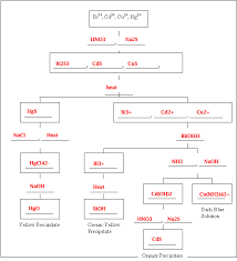 Solved I Had To Fill Out This Flow Chart For Qualitative