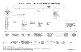The Chicken Experiment And Meat Chicken Processing Planning