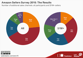 Amazon Sellers Survey 2016 The Results