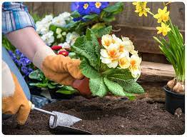 How To Garden Flowers Jobe S Company