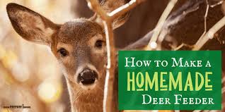 how to make a diy homemade deer feeder