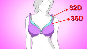 4 Ways To Measure Your Bra Size Wikihow