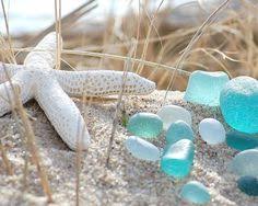 54 I love seashells, starfish, and seahorses ideas | sea shells, she sells  seashells, shells