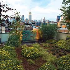 Tour A Nyc Rooftop Garden Inspired By