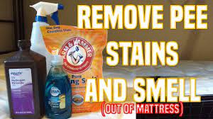 remove stain smell out of mattress