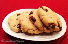low carb chocolate chip cookies recipe